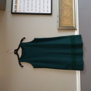 Ann Taylor Petite, Hunter Green, Sleeveless, Embroidered, Zip Back Dress